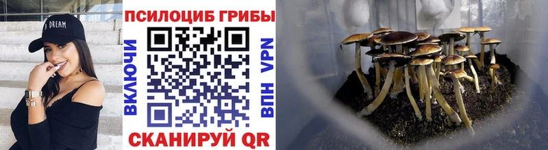 купить наркоту  omg как войти  Псилоцибиновые грибы ЛСД  это телеграм  Кировград 